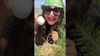 PRANK with CHICKEN EGG  #shorts #viral #gukafamilyshow