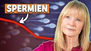 Männer werden unfruchtbar! Neue Studie: Spermien nehmen ab