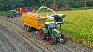 Mais Silage 2024 | Claas Jaguar 940 + Fendt | E.J.G. Gerritsen