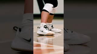 Volleyball Hosts AMF Memorial Tournament