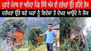 Purane Punjab da ajeha pind jithe aj v Drakhtan ute rehnede Lok | ਦਰੱਖਤਾਂ ਉੱਤੇ ਬਣੇ ਘਰ | Tree House