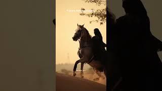 This girl made du'a for one thing for 5 years... then Allah showed her why He delayed it.#ytshorts
