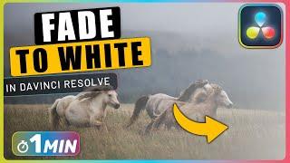 How to FADE to WHITE in Davinci Resolve