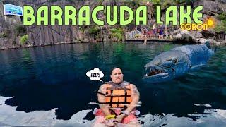 Tranquil Waters of Barracuda Lake Coron Philippines 4K