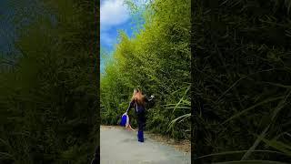 Bamboo #igorotak #youtubeshorts #nature #flower