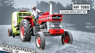 Massey Ferguson 1080 + Claas Rollant 46 • Weizenstrohpressen | Agrarvolution Praxis