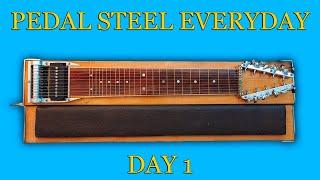 Pedal Steel Everyday - Day 1 - The Beginning