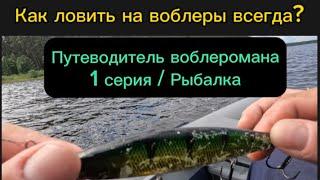 Скоростной троллинг/ рыбалка.Как найти и поймать достойную рыбу без дорогих эхолотов.