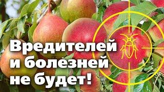 УНИЧТОЖЬТЕ ВСЕХ ВРЕДИТЕЛЕЙ И БОЛЕЗНИ ВОВРЕМЯ!