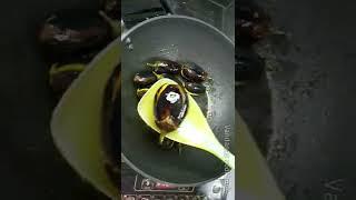 #shorts #shortsvideo #easylunchrecipes #cookingshorts #vandanazcookbook