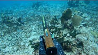 Mangrove Snapper Spawn Spearfishing | Florida Keys | Catch, Clean & Cook