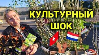 разница культуры и менталитета | Франция vs Швейцария