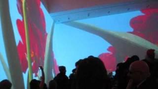 Pipilotti Rist at MoMA,New York (Jan 2009)