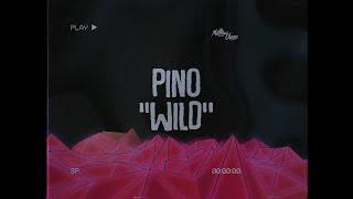 Pino - WILD (feat. Avi Roy)
