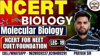 NCERT Biology Classes 2024 | Molecular Biology | NCERT Complete Preparation for NEET , CUET , NCERT