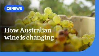 How climate change is making Australian wine growers adapt | ABC News