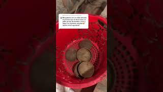 Así es el proceso para hacer los bowls de coco  #SmallBusiness