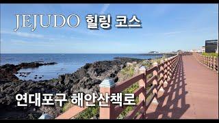 [제주도] 힐링하기 좋은 해안산책로 추천! / 연대포구 해안산책로 / 반려동물 동반가능 / 주변에 예쁜 카페들도 많아요