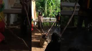 #reggae Roots last plagues. #youtube #short..FIREMILLIONAIRE3