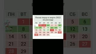 Посев перца на рассаду в 2022 году