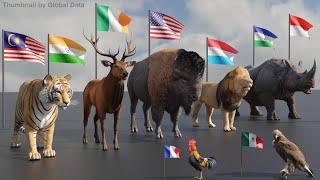 National Animals of Countries 3D | Flags and National Animals of the World