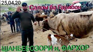 Шанбебозри н, Фархор нархи гови ширте ва моли майда Prices for calves and small cattle in Tajikistan