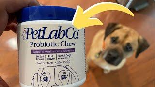 Boost Your Dog's Health with PetLab Co. Probiotics - A Comprehensive Review