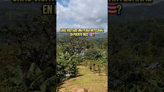¿Has visitado una feria artesanal en Puerto Rico ?