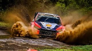 Best of WRC 2024 | Rally Crashes, Action and Raw Sound