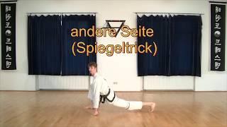 TKD Tutorial Meister Marvin Patzelt