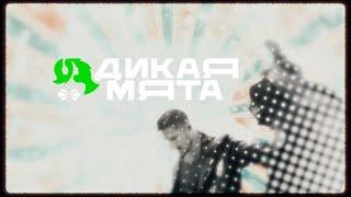 Дикая Мята-2024: Art-aftermovie