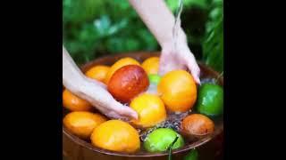 Zest in a Glass Crafting the Ultimate Garden Fresh Orange Juice Experience