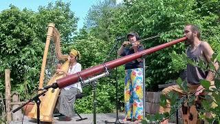 Garden Techno Jam: Didgeridoo, Harp & Violin