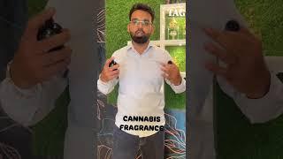 Cannabis Fragrance made by The Attar Gallery Mansa find your Signature SCENT #perfume #attar