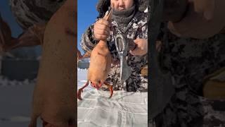 Hot smoked duck / Утка горячего копчения Pandasakha Yakutia️ #permafrost #winter