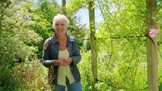 Summer Gardening with Carol KleinEpisode 2