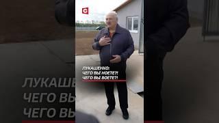Лукашенко: Чего вы ноете?! Чего вы воете?! #беларусь #лукашенко #политика #новости