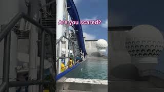 Are You Scared? Royal Caribbean Cruise Slides #shorts #royalcaribbean #libertyoftheseas
