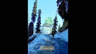 The Dreamial || Zeeshan Akbar|| Miranjani Tour ||