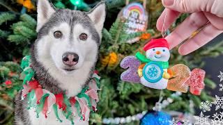 Surprising My Dogs With a Christmas Tree  In 2024!