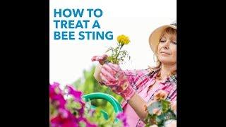 How to treat a bee sting