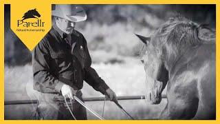 Parelli Horse Training - Horsemanship