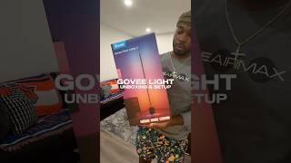 Govee Floor Lamp 2 #onestopchop