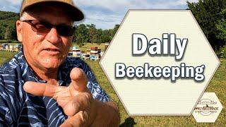 HoneyBeeMade Beekeeping - The Daily Basics