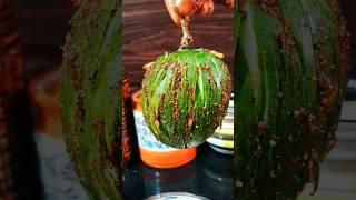 ||Tangy & Spicy Raw Masala Mango Recipe | Summer Special Kairi Snack!||