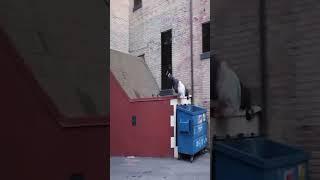 Just Laugh,part-143#shorts #tiktok #funny #viral