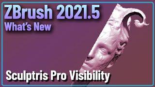 067 ZBrush 2021.5 - Sculptris Pro Visibility - You Can Now Hide Your Mesh and Still Use Sculptris!