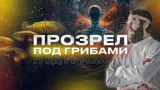 Самуи Место силы! Волшебные грибы На волшебном острове Для волшебной жизни️