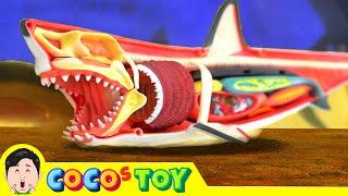 We rescued a megalodon but..｜Exploration of life, megalodon dissection｜CoCosToy