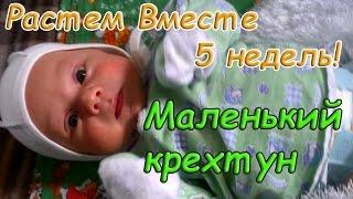 Маленький крехтун)) Растем Вместе 5 недель!!! \ Growing Together 5 weeks